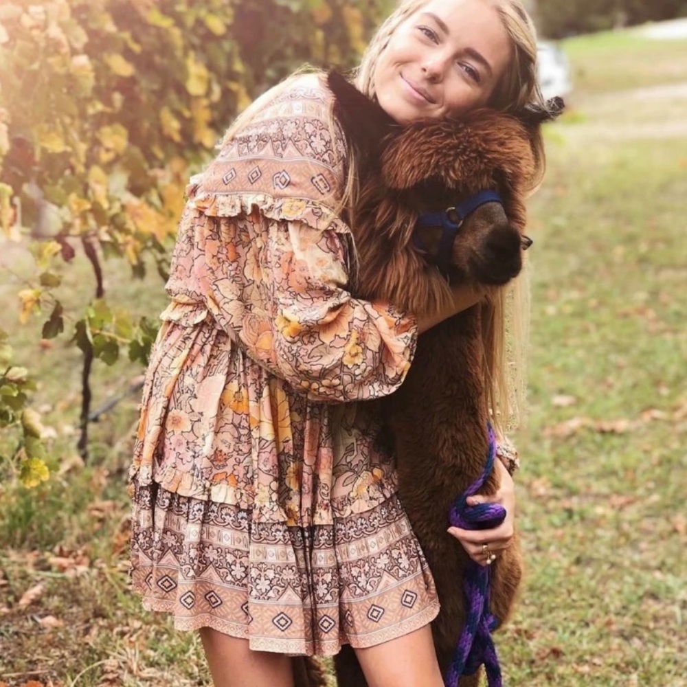 Allium Blush Gypsy Boho Festival VNeck Shift Dress - Picture 6 of 9